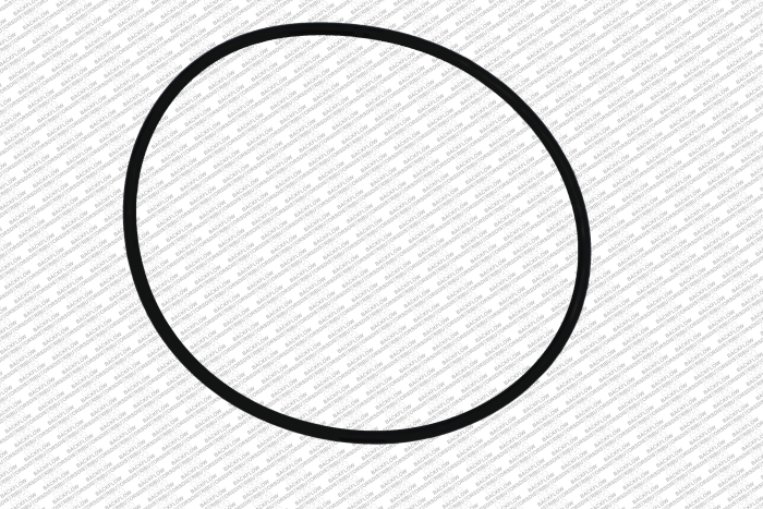 WILKINS 364N - O-RING ONLY FOR #1 OR #2 CHECK MODULE BODY - 6" 350 / 450 / 375 / 475 ASSEMBLIES