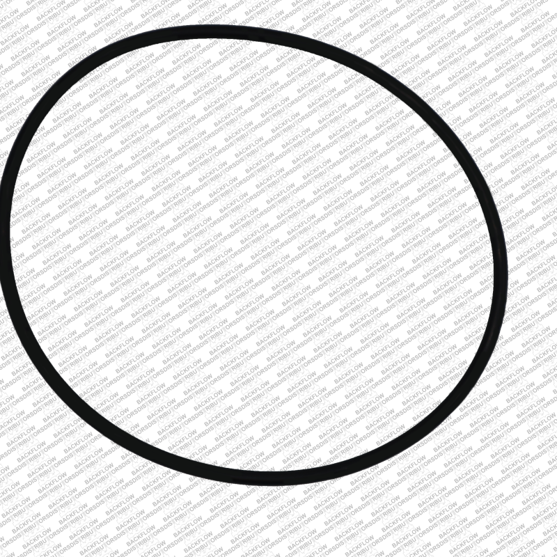 WILKINS 364N - O-RING ONLY FOR #1 OR #2 CHECK MODULE BODY - 6" 350 / 450 / 375 / 475 ASSEMBLIES
