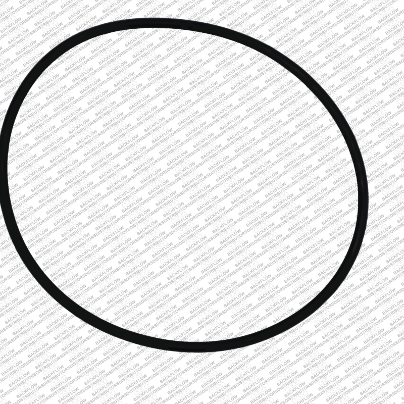 WILKINS 364N - O-RING ONLY FOR #1 OR #2 CHECK MODULE BODY - 6" 350 / 450 / 375 / 475 ASSEMBLIES