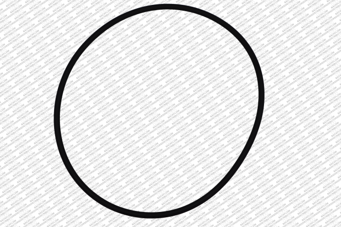 WILKINS 366N - O-RING ONLY FOR #1 OR #2 CHECK SEAT RING - 6" 950 / 975 ASSEMBLIES