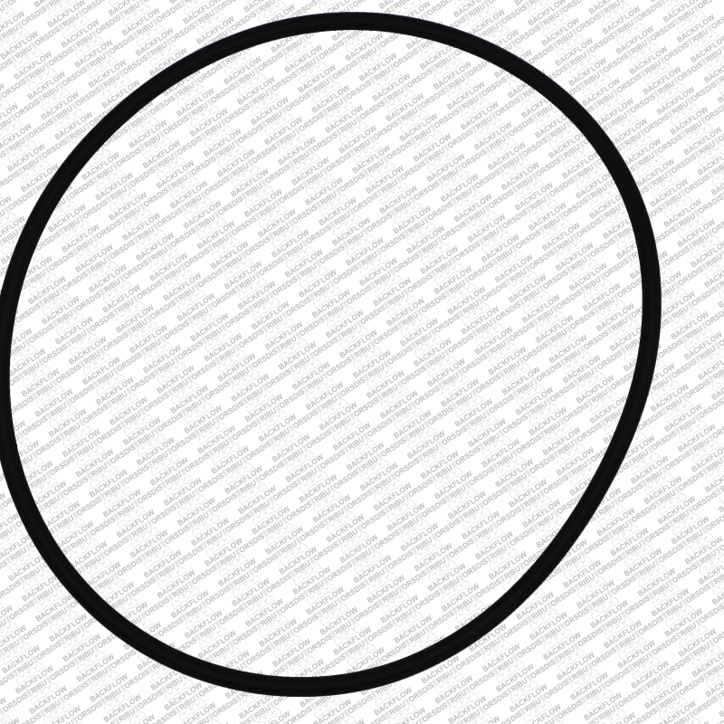 WILKINS 366N - O-RING ONLY FOR #1 OR #2 CHECK SEAT RING - 6" 950 / 975 ASSEMBLIES