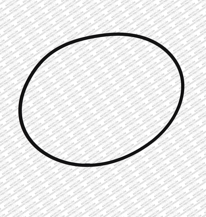 WILKINS 374N - CAP O-RING ONLY FOR 6" 950 / 975 ASSEMBLIES