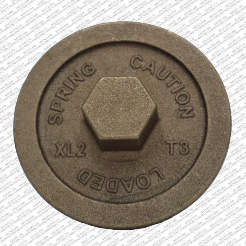 WILKINS 954-3XL2-010F - #1 OR #2 CHECK COVER FOR 1 1/4" - 2" 950XL2 / 975XL2 RP ASSEMBLIES (LEAD FREE)