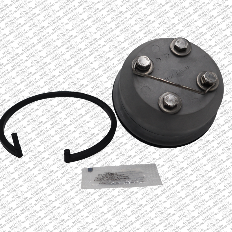 WL RK4450STCK4 - WILKINS 4" COMPLETE CHECK MODULE FOR (450ST #1 OR #2) OR ( 450STDA #1) OR (475ST #2)