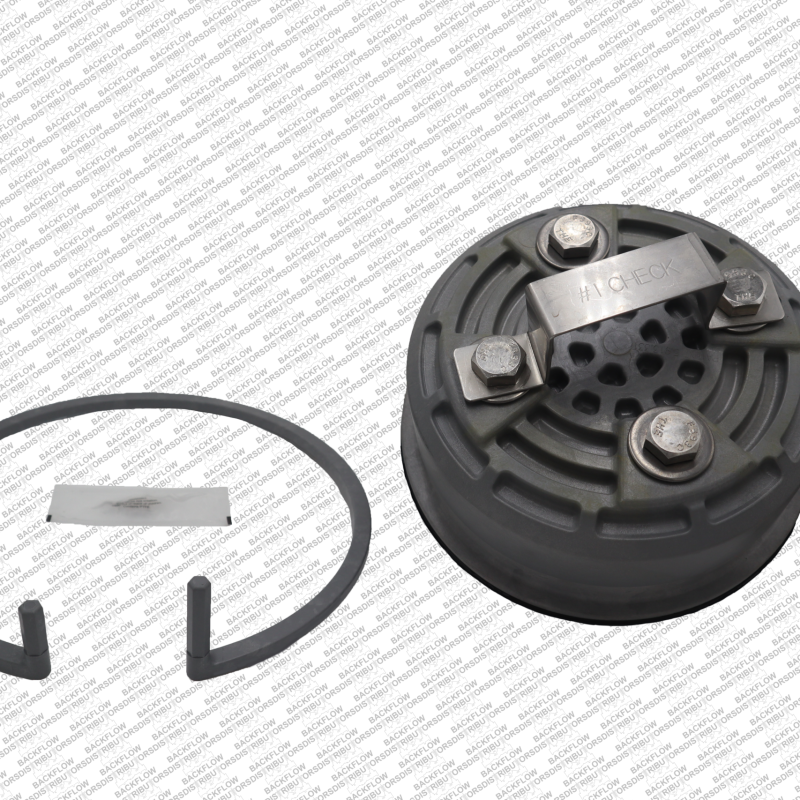 WL RK6350ASTCK1 - WILKINS RK6-350ASTCK1 (OLD# 3510ST-300A)..#1 CHECK ASSEMBLY FOR 6" 350AST / 350ASDTA
